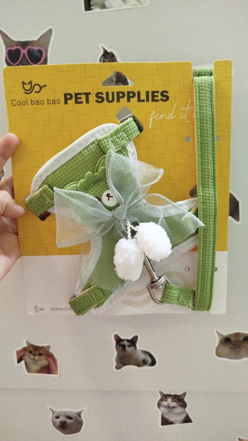 Pechera Gato