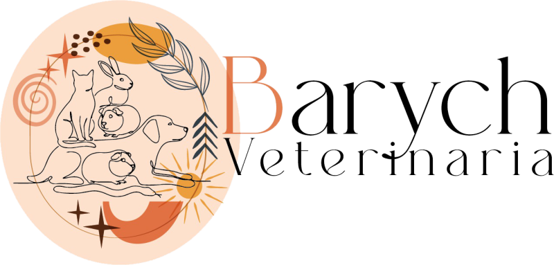 Barych Logo