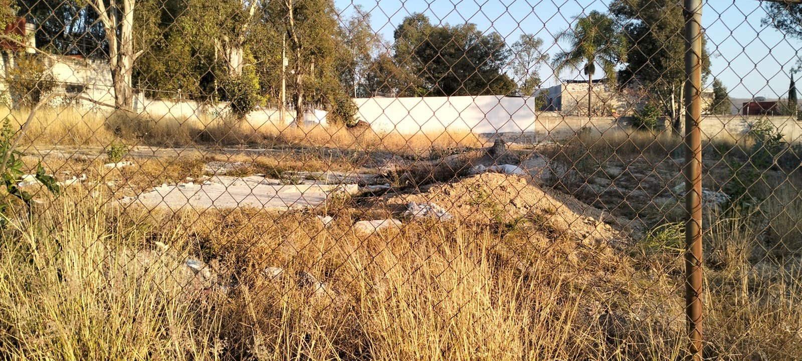 TERRENO PASEOS DE LA ARBOLEDA